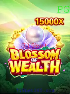 BlossomofWealth: Desvendando o Novo Fenômeno dos Jogos com 719bet